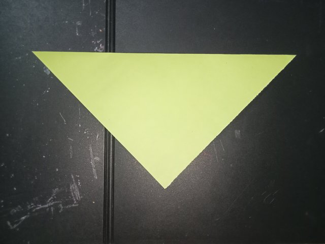 1000029159.jpg