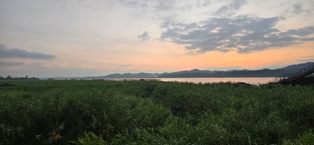 KakaoTalk_20250809_083957286_02.jpg