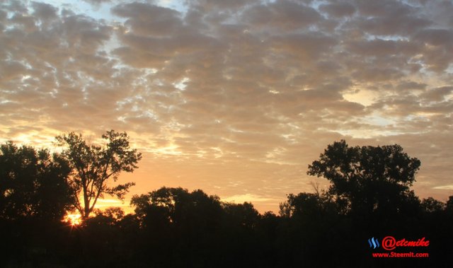 dawn morning sunrise skyscape golden-hour landscape IMG_0280.JPG
