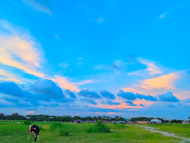 LMC_20250629_185054_ðColor boost By Expert Mistry.jpg