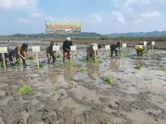IMG20200720101508.jpg