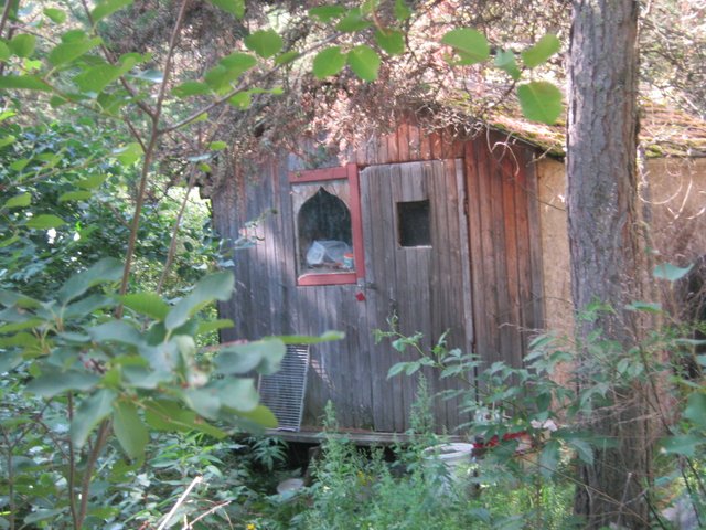 tree planting shack cottage in woods.JPG