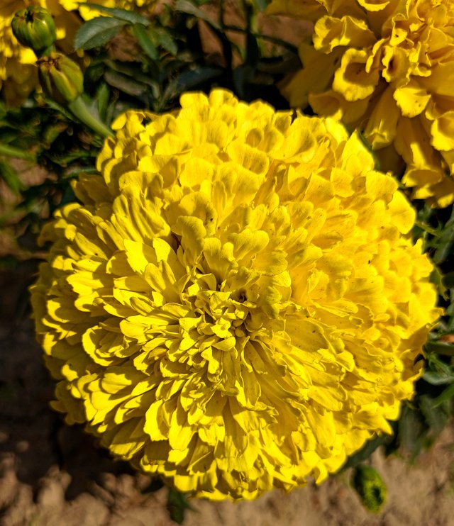 IMG20250119125530.jpg