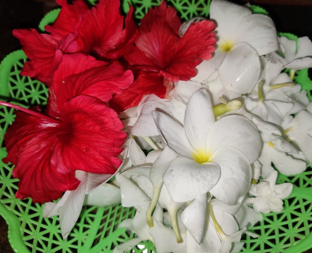 IMG_20250725_225751.jpg