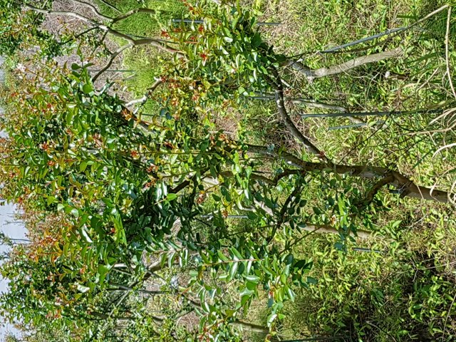 20180521_122317.jpg
