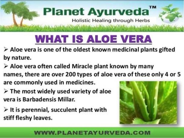 Egyptians-Considered-This-The-plant-Of-Immortality-See-The-Amazing-Effects-Aloe-Vera-Has-On-Your-Body-8855-3.jpg