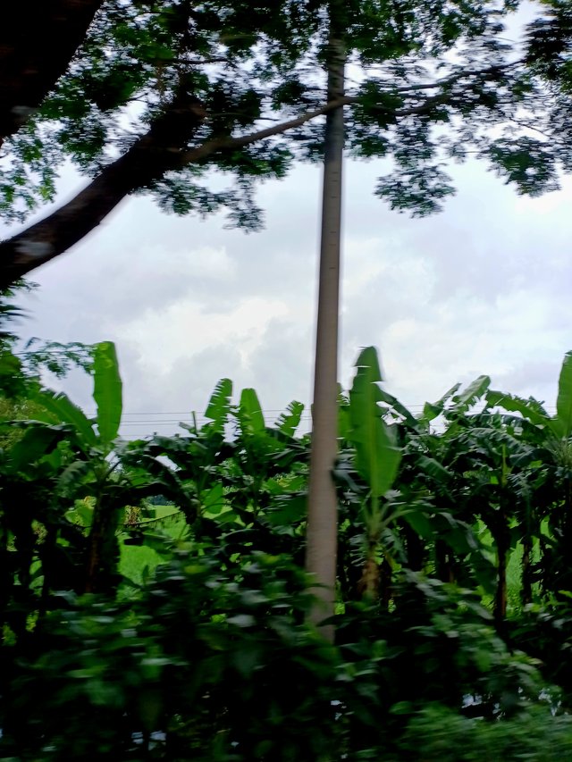 2290.jpg
