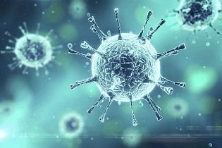 Viral Vector Market.jpg