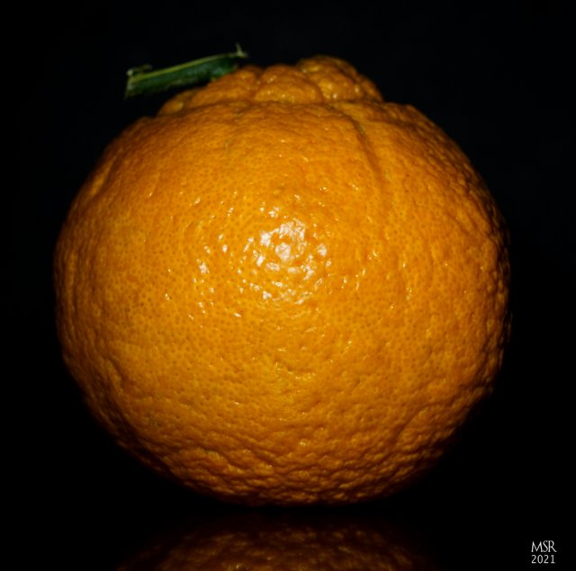 Orange Frontlight.jpg