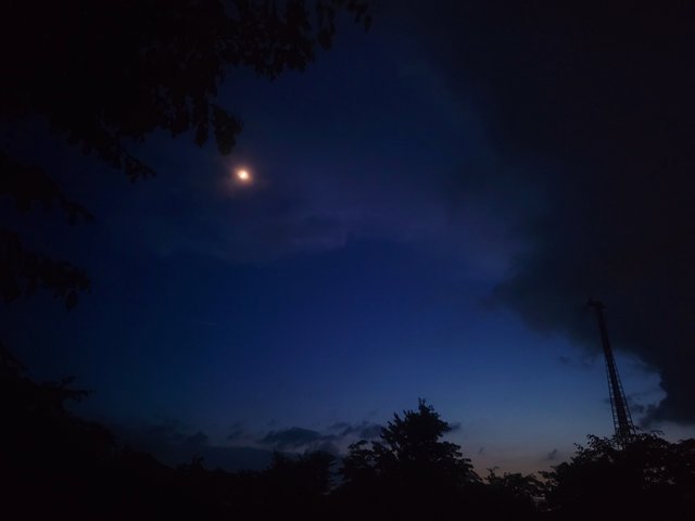 20250730_191944.jpg