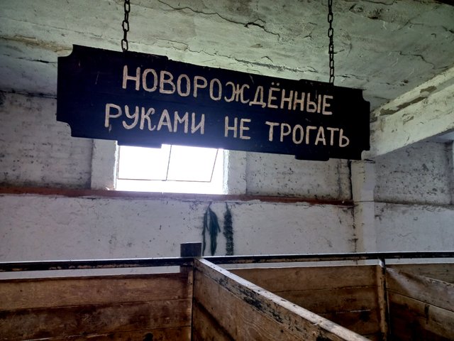 20240727_135605.jpg