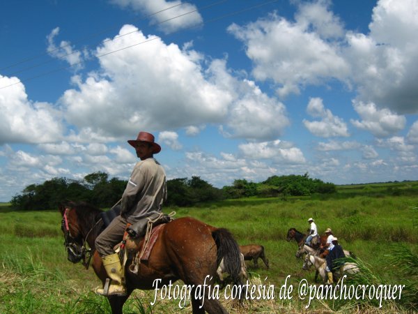 hombres a caballo.jpg