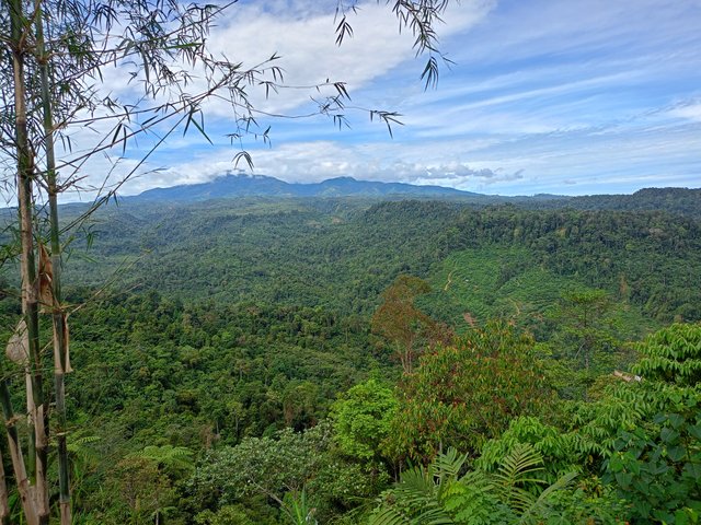 IMG20250406102551.jpg