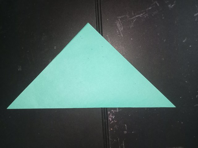 1000029767.jpg