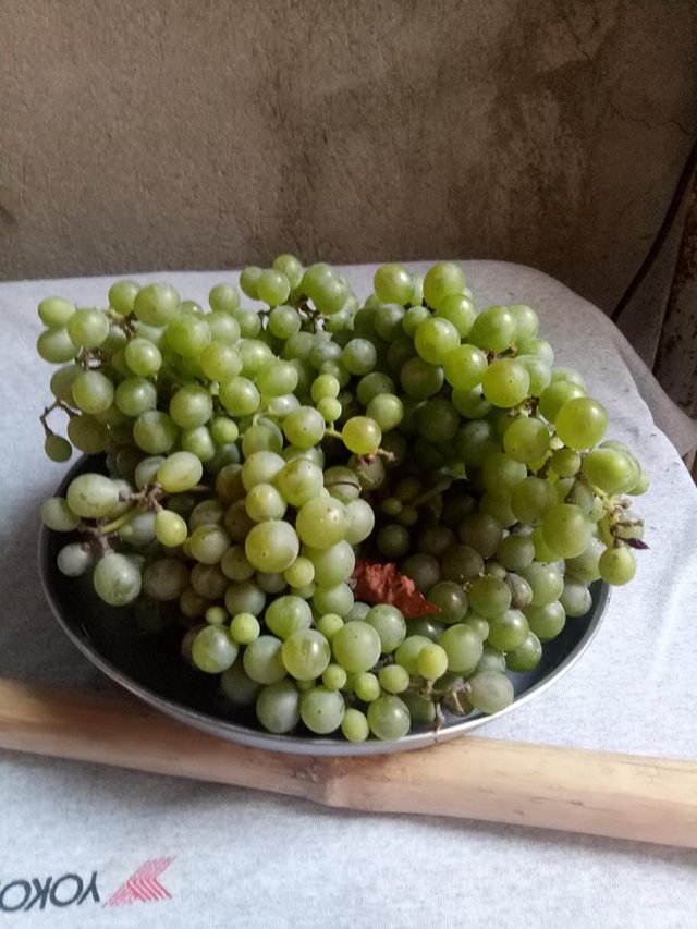 grapes2.jpg