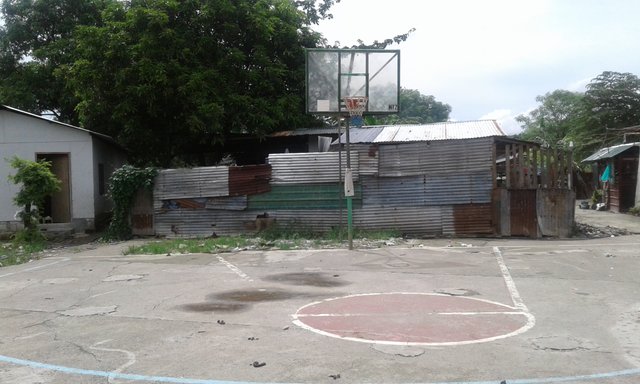 20190730_135145.jpg