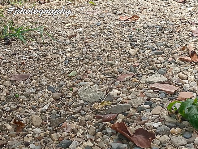FotoGrid_20250804_200940943.jpg