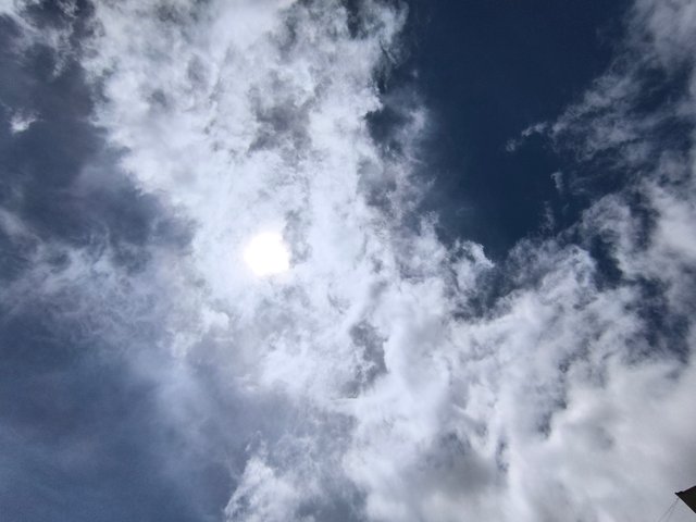 1000649139.jpg