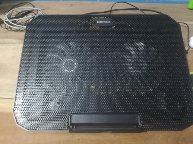 1000046575.jpg
