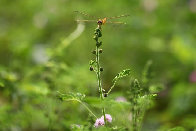 prothomalo-bangla_2023-11_65ea564c-f647-49d9-8cc1-586506961d76_Sylhet_Photo_9.jpeg