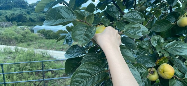 KakaoTalk_20250926_221325969_03.jpg