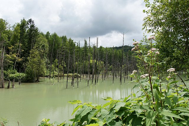Japan-Hokkaido12802-275.jpg
