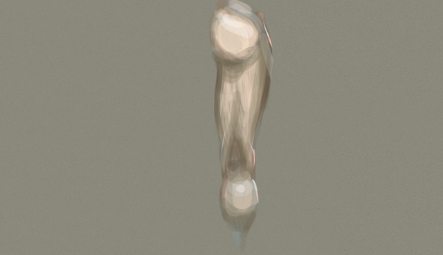 upper leg (4).png