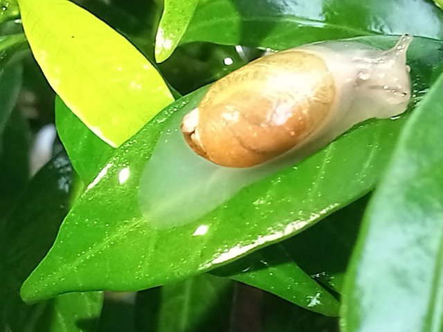 20250801_232410.jpg
