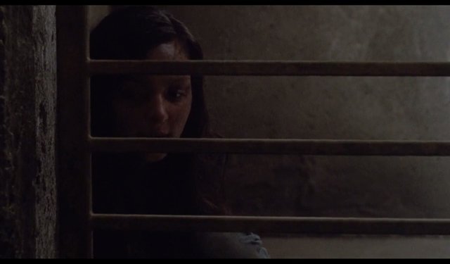 twd4.jpg