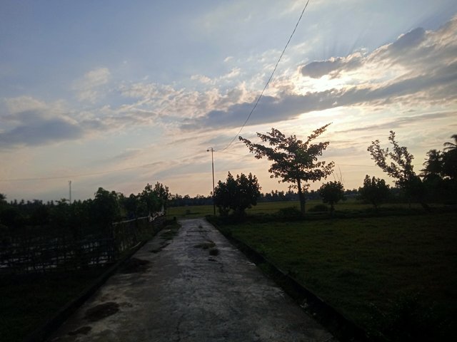 IMG20250724173801.jpg