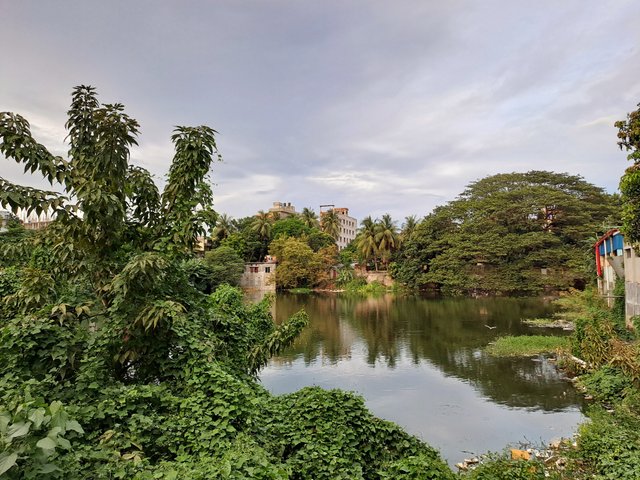 20240825_180729.jpg