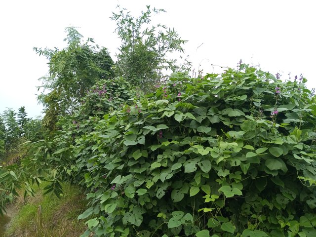 IMG_20240106_170025_618.jpg