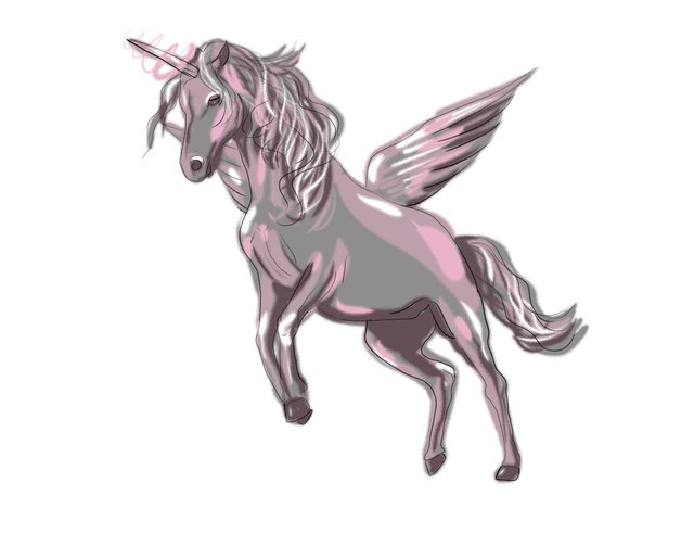 unicorn(465).jpg