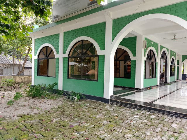 1000041918.jpg