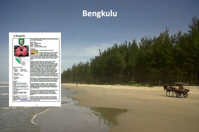 bengkulu_besar.jpg