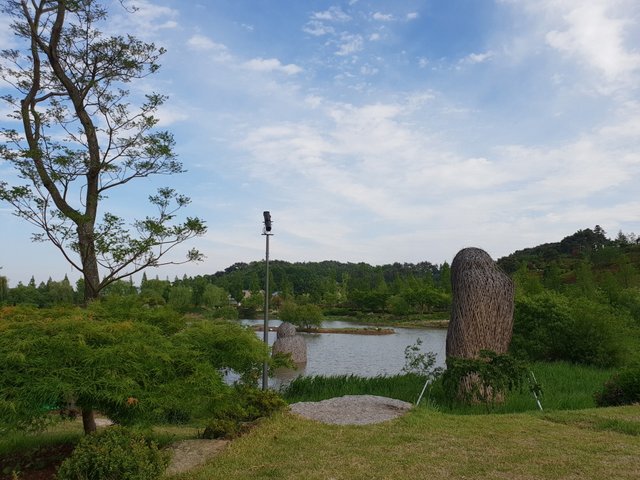 20180505_163228.jpg