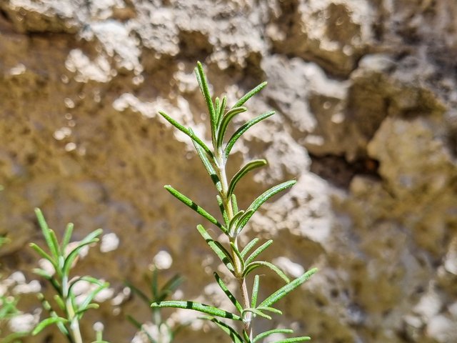 20250705_132656.jpg