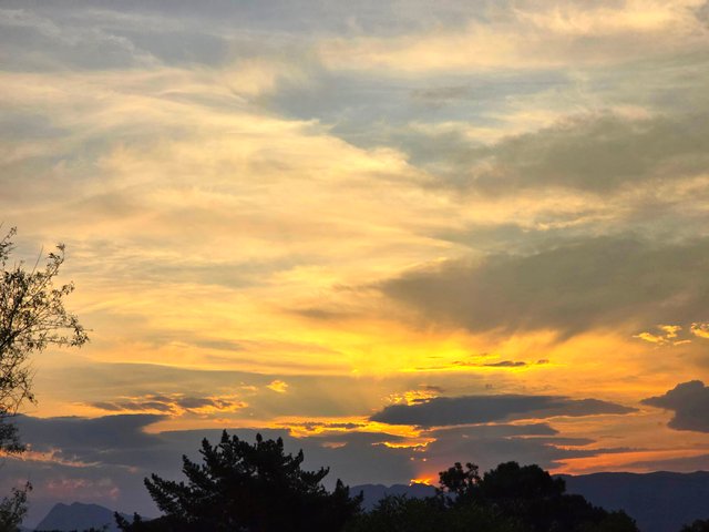 20250729_174336.jpg
