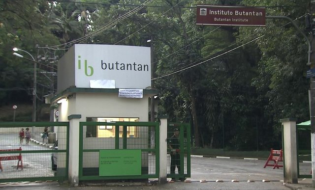 instituto-butanta-1.jpg