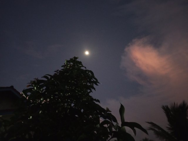 IMG_20250805_191402_456.jpg