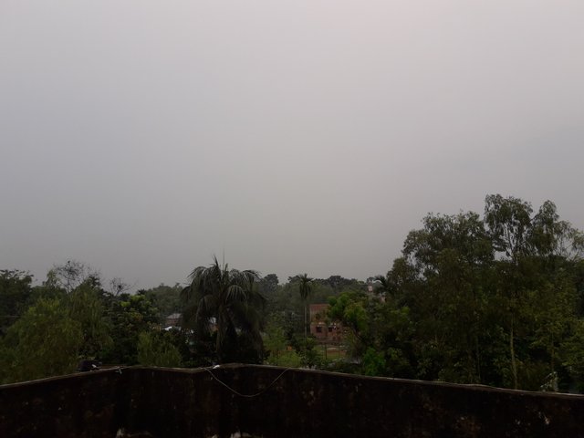 20200916_164452.jpg