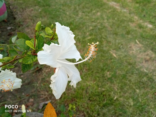 IMG_20250605_180603.jpg