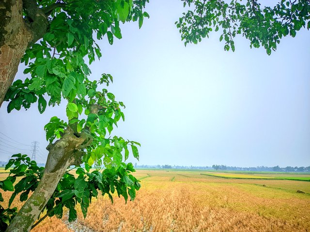 IMG_20250430_163035.jpg