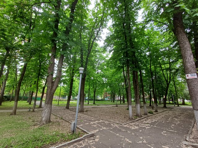 20250517_141807.jpg