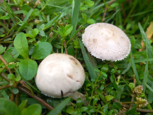 20250414_080508.jpg