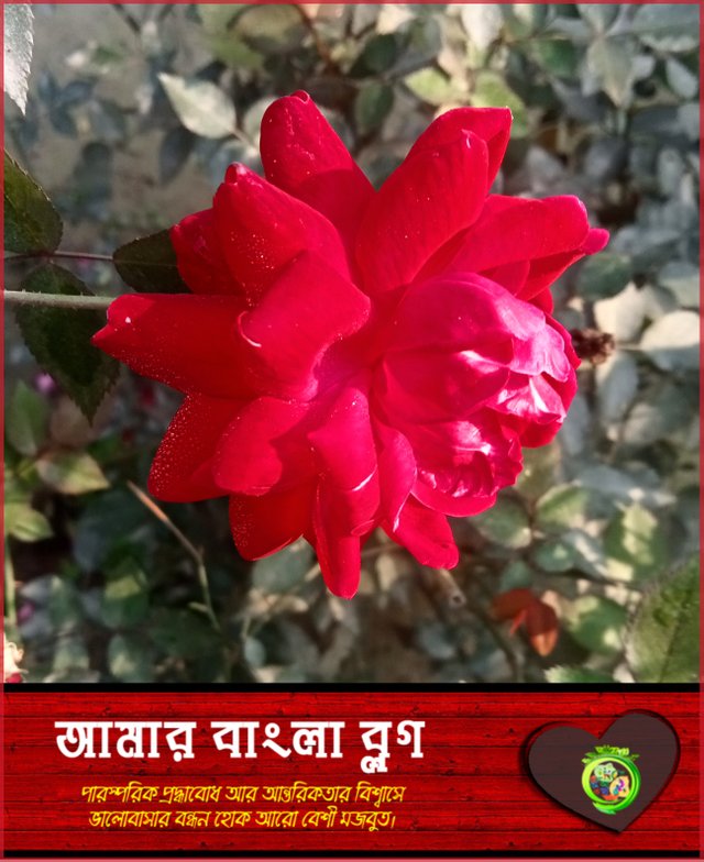 Picsart_23-05-20_23-05-24-439.jpg
