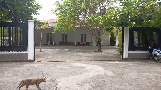 20250607_113719.jpg