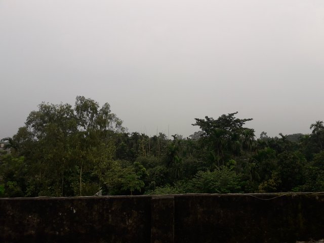 20200916_164447.jpg