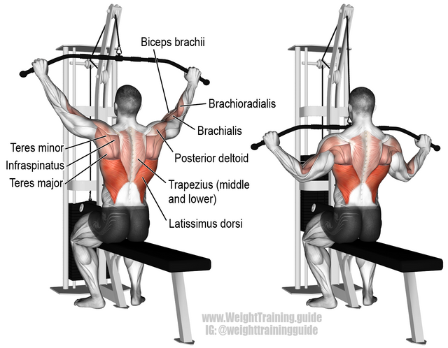 wide-grip-lat-pulldown.png