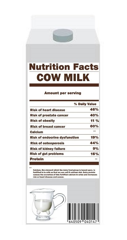 Cow milk carton finished pic.jpg